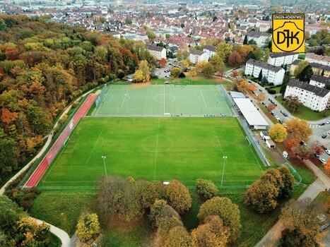 Kunstrasen Ziegeleiweiher